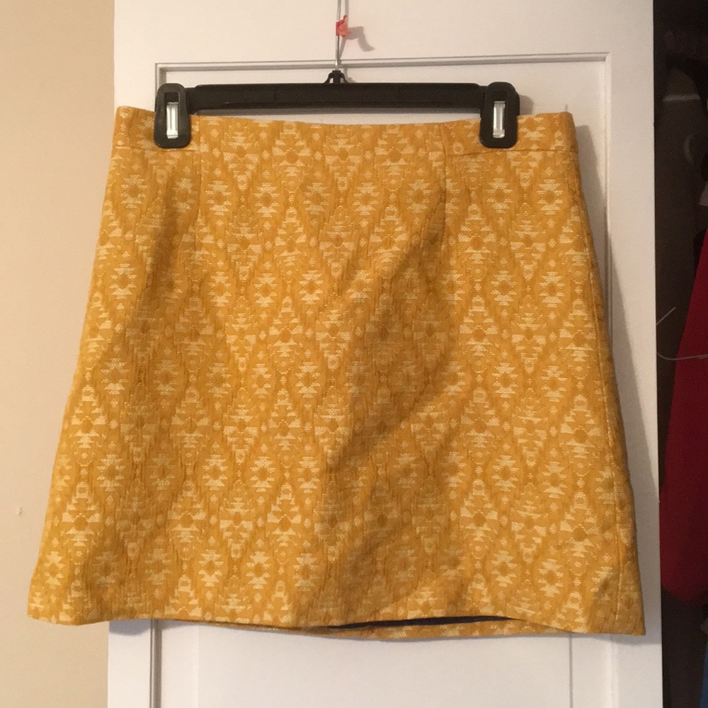 Zara skirt